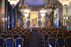 A CELERATION OF LIFE